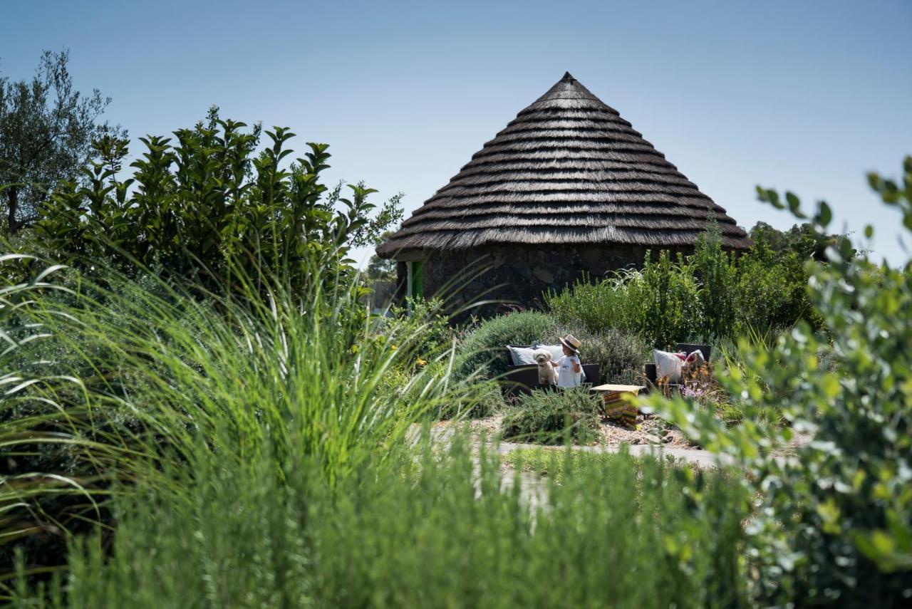 Is Cheas Wine Farm Boutique Hotel San Vero Milis Exteriér fotografie