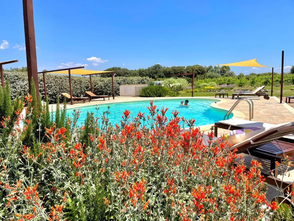 Is Cheas Wine Farm Boutique Hotel San Vero Milis Exteriér fotografie
