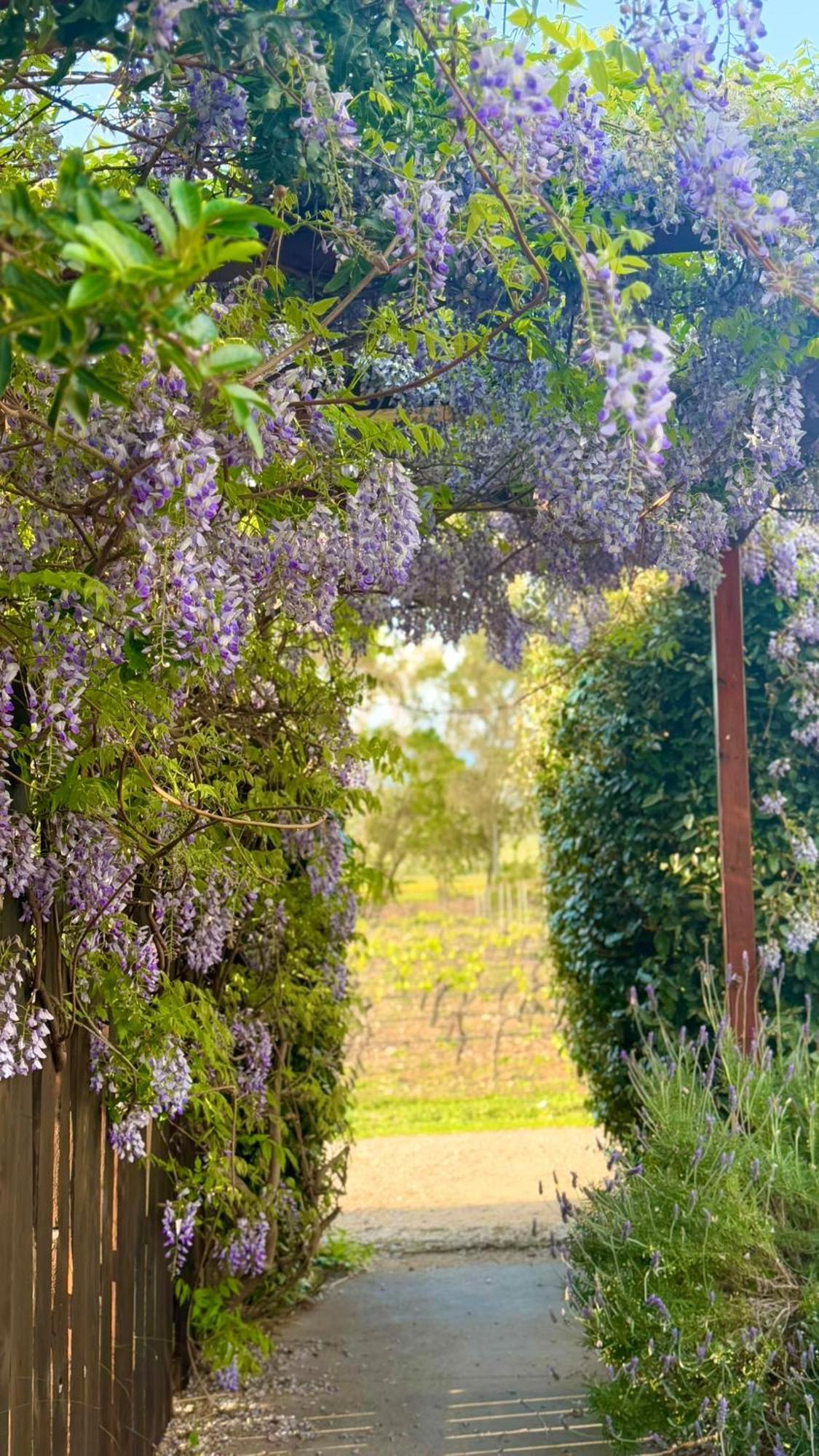 Is Cheas Wine Farm Boutique Hotel San Vero Milis Exteriér fotografie