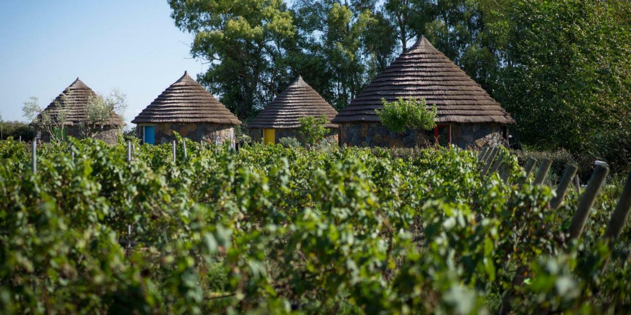 Is Cheas Wine Farm Boutique Hotel San Vero Milis Exteriér fotografie